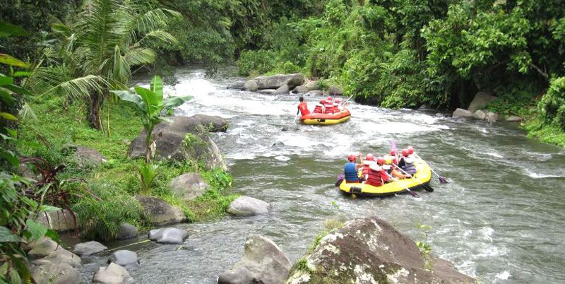 Ayung River Rafting + Elephant Ride + Spa Packages