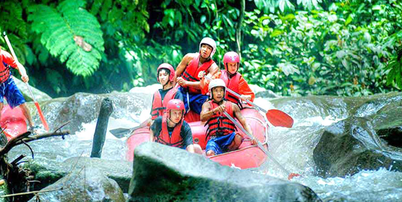 Ayung River Rafting and Ubud Full Day Tour