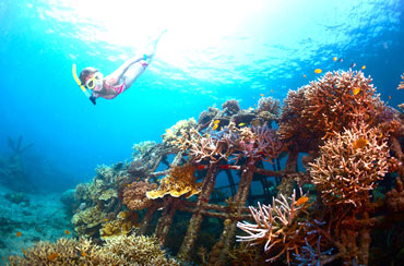 Blue Lagoon Snorkeling