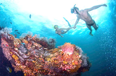 Blue Lagoon Snorkeling
